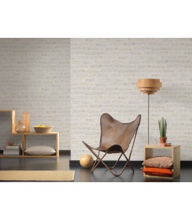 Papier Peint Référence 1960048 - Collection ELEMENTS 2 - AS CREATION