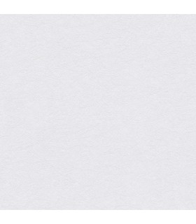 Papier peint As Creation - C58666 - Collection Wango - 10,05x0,53m