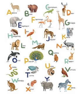 Panoramique LET S LEARN THE ALPHABET MULTICOULEURS S 200x250 - Collection LES MINIS MONDES - CASELIO - Réf. MNM105857005