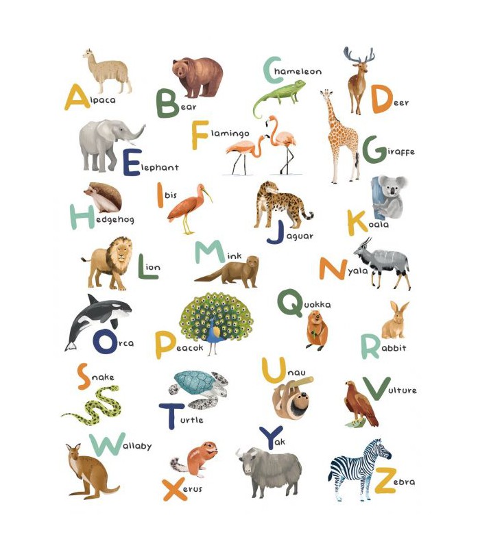 Panoramique LET S LEARN THE ALPHABET MULTICOULEURS S 200x250 - Collection LES MINIS MONDES - CASELIO - Réf. MNM105857005
