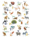 Panoramique LET S LEARN THE ALPHABET MULTICOULEURS S 200x250 - Collection LES MINIS MONDES - CASELIO - Réf. MNM105857005