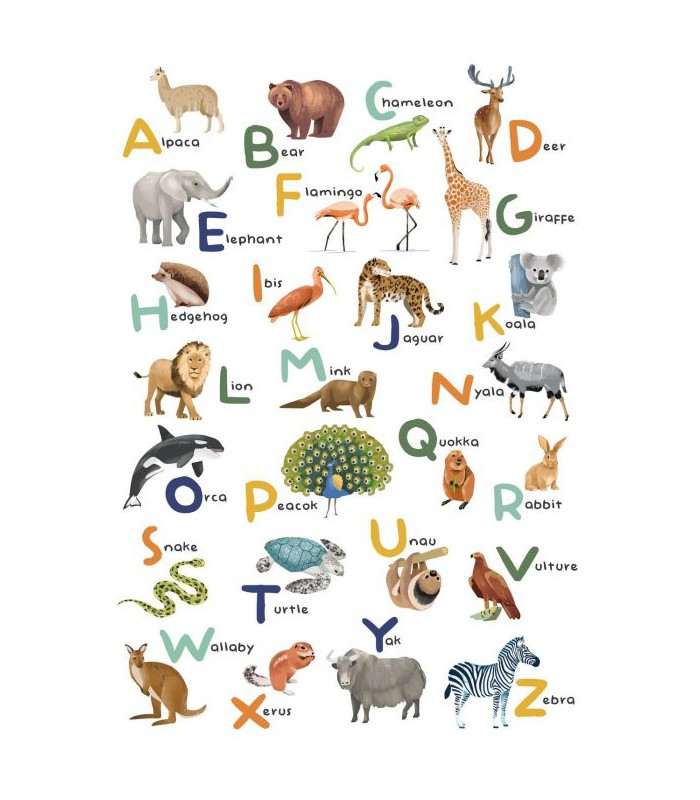 Panoramique LET S LEARN THE ALPHABET MULTICOULEURS M 200x280 - Collection LES MINIS MONDES - CASELIO - Réf. MNM105857003