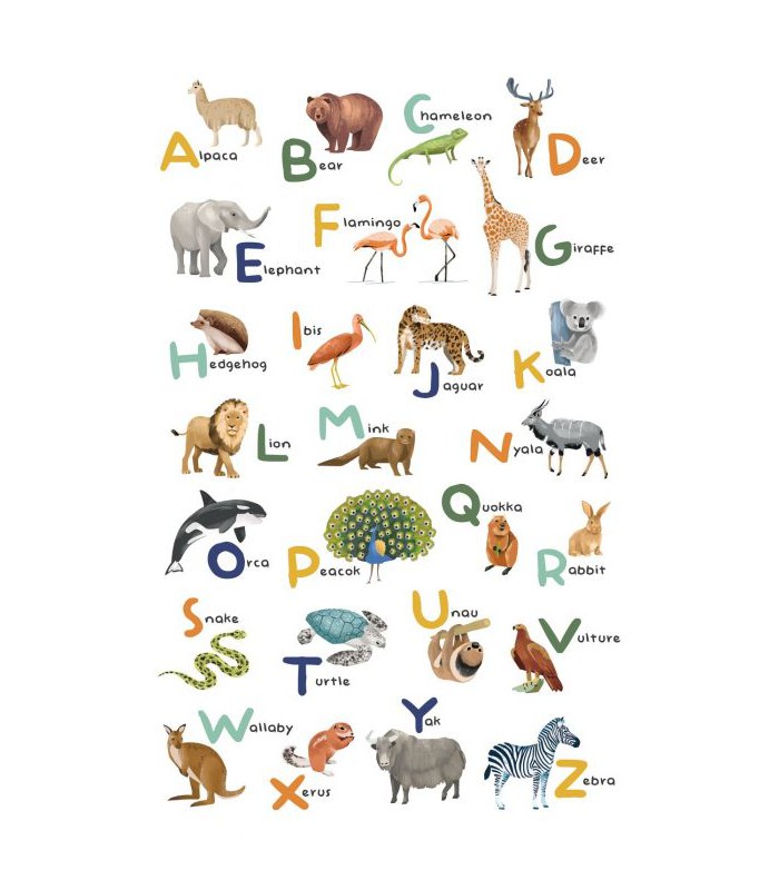 Panoramique LET S LEARN THE ALPHABET MULTICOULEURS L 200x310 - Collection LES MINIS MONDES - CASELIO - Réf. MNM105857004