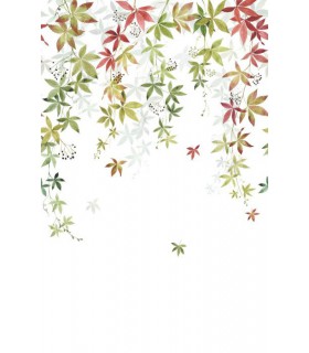 Panoramique VIGNE EN FLEUR L COULEUR D'AUTOMNE 200x310 - Collection WONDERWALLS 2 - CASADECO - Réf. WDWD200067904