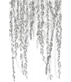 Panoramique MURMURES D'AUTOMNE L NOIR FUSAIN 200x310 - Collection WONDERWALLS 2 - CASADECO - Réf. WDWD200159404