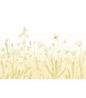 Panoramique PROMENADE BUCOLIQUE M LIME 400x280 - Collection WONDERWALLS 2 - CASADECO - Réf. WDWD200167311