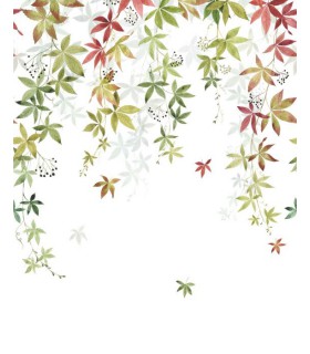 Panoramique VIGNE EN FLEUR S COULEUR D'AUTOMNE 200x250 - Collection WONDERWALLS 2 - CASADECO - Réf. WDWD200067905