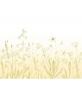 Panoramique PROMENADE BUCOLIQUE L LIME 400x310 - Collection WONDERWALLS 2 - CASADECO - Réf. WDWD200167312