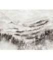 Panoramique MORNING MIST L GRIS BRUME 400x310 - Collection WONDERWALLS 2 - CASADECO - Réf. WDWD200189112