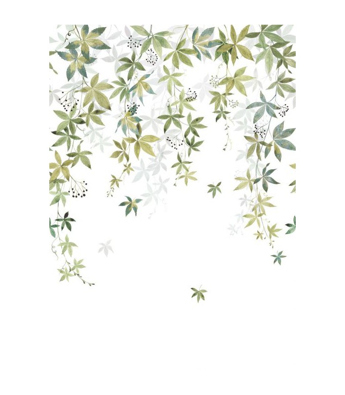 Panoramique VIGNE EN FLEUR M VERT OLIVE 200x280 - Collection WONDERWALLS 2 - CASADECO - Réf. WDWD200067203