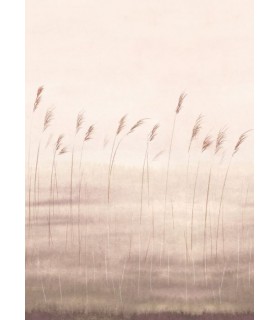 Panoramique JONC DES DUNES M NATUREL 200x280 - Collection WONDERWALLS 2 - CASADECO - Réf. WDWD200081503