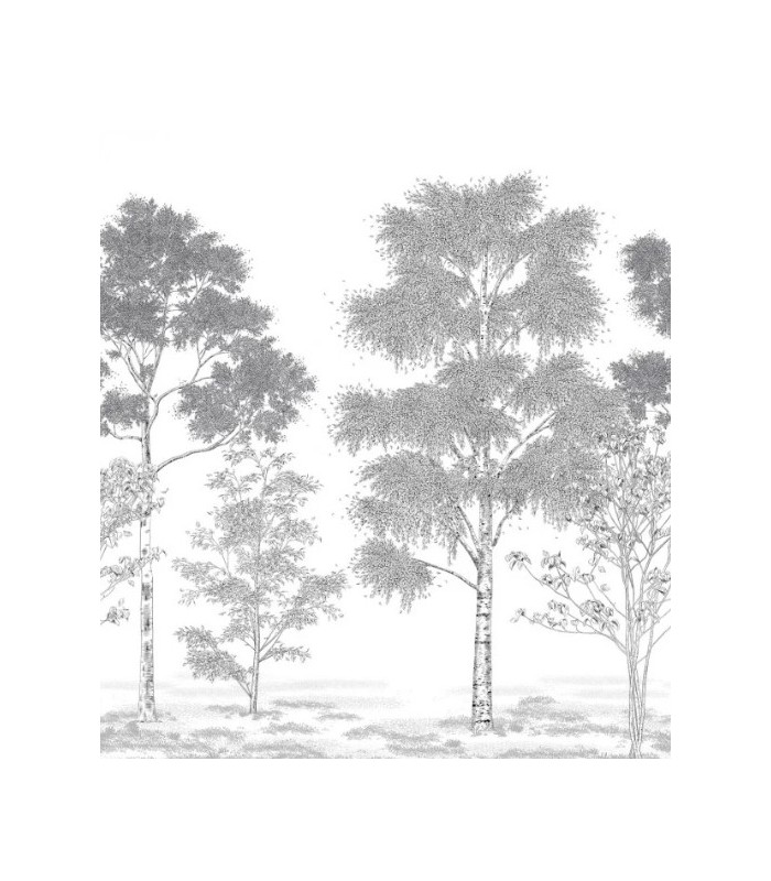 Panoramique POESIE PRINTANIERE NOIR 250x250 - Collection BALADE - CASELIO - Réf. BLD106169006