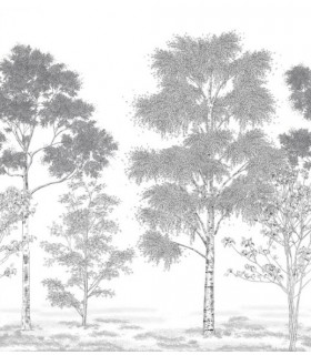 Panoramique POESIE PRINTANIERE NOIR 250x280 - Collection BALADE - CASELIO - Réf. BLD106169001