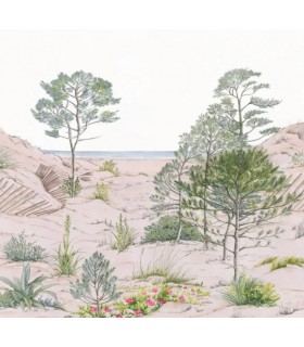 Panoramique SAND DUNE L 265X310 - Collection RELIEFS - CASELIO - Réf. RLF106377039