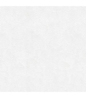 STRUCTURE A PEINDRE 003