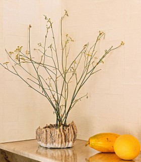 ELITIS Art Paper Amami RM 1035 06 ELITIS Art Paper Amami RM 1035 06