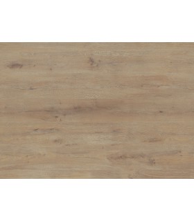 Trilogy Terra 55 - Lame Plombante - Manaos - 100 cm X 25 cm