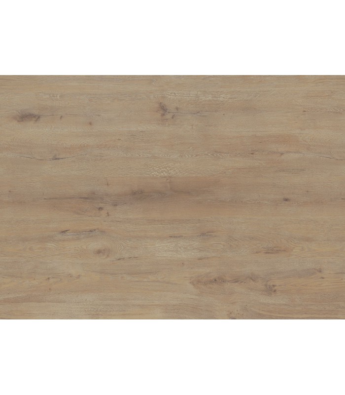 Trilogy Terra 55 - Lame Plombante - Manaos - 100 cm X 25 cm