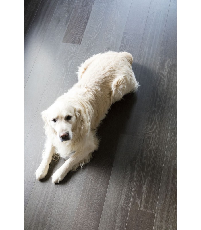 Berry Alloc Parquet Les Exclusifs Regular Long - Chêne Naturel 02 Abyss - réf. 61001035 - 130 x 1980 x 14 mm