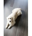 Berry Alloc Parquet Les Exclusifs Regular Long - Chêne Naturel 02 Abyss - réf. 61001035 - 130 x 1980 x 14 mm