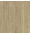 ICONICS AGED BADIANE H1900X190X15MM