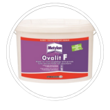 Colle fond absorbant