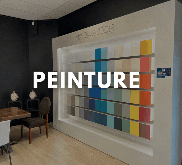 magasin de peinture en Nouvelle-Aquitaine
