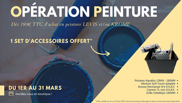 operation peinture Delzongle Aquitaine Guittet Levis