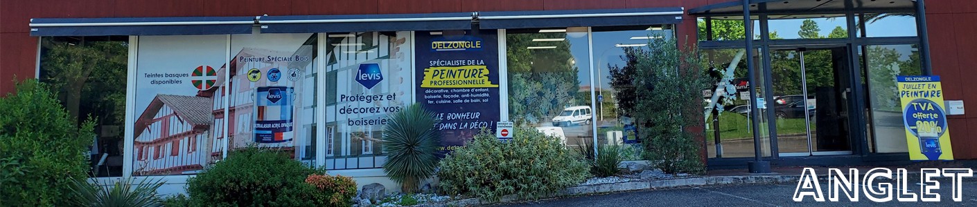 Delzongle peinture anglet