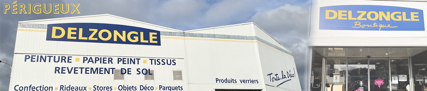 Delzongle peinture et papier peint périgueux 