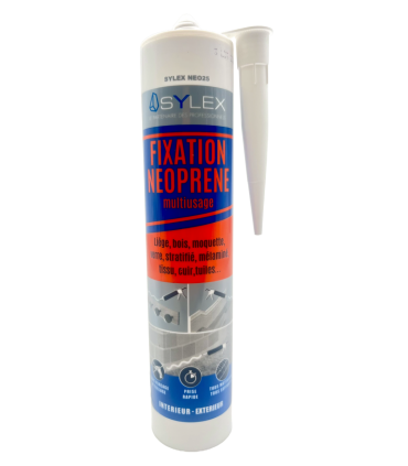 Mastics de fixation