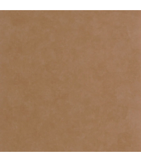 PP CASAD.SOLARIS SELENE NOISETTE