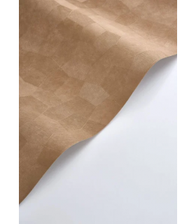 PP CASAD.SOLARIS SELENE NOISETTE