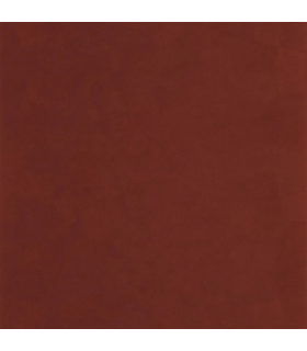 PP CASAD.SOLARIS SELENE AMARENA