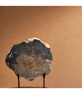 PP CASAD.SOLARIS DIONE TERRACOTTA