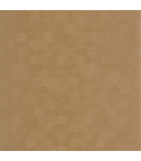 PP CASAD.SOLARIS MELI DORE