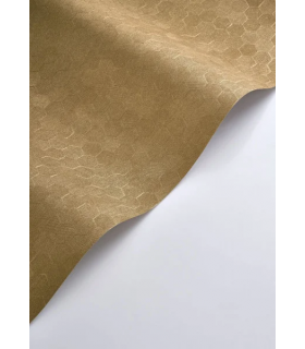 PP CASAD.SOLARIS MELI DORE