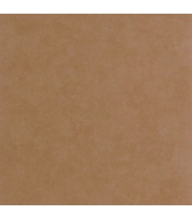 PP CASAD.SOLARIS SELENE NOISETTE