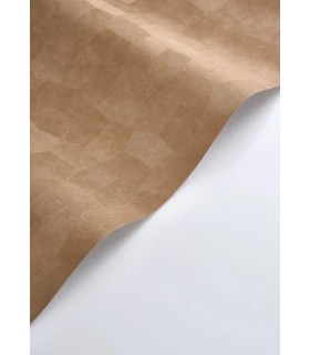 PP CASAD.SOLARIS SELENE NOISETTE