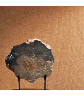 PP CASAD.SOLARIS DIONE TERRACOTTA