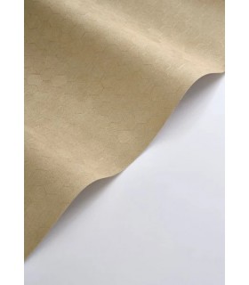 PP CASAD.SOLARIS MELI CAMEL