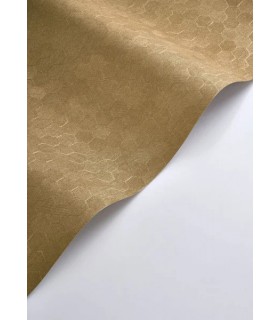 PP CASAD.SOLARIS MELI DORE