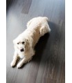 Parquet contrecollé Iconics Design XL Long Oak Harmony Abyss 1980 x 164 x 13 mm
