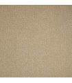 RES.CORAIL 2 R4402 NOISETTE 4M - Largeur 4 mètre(s) RES.CORAIL 2 R4402 NOISETTE 4M - Largeur 4 mètre(s)