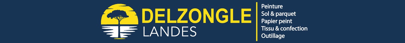 magasin papier peint Delzongle Landes (40)