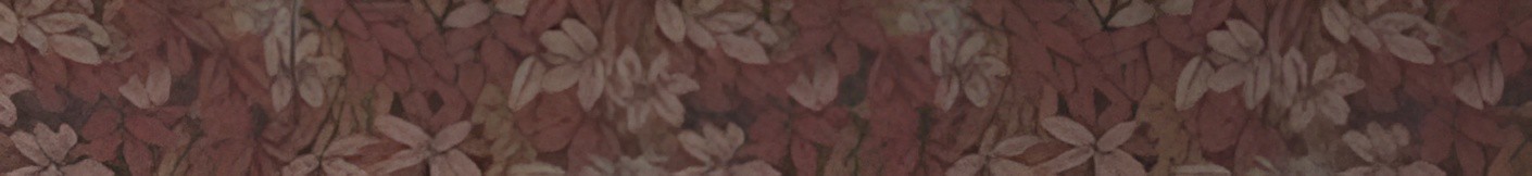 Bannière papier peint Delzongle Pau