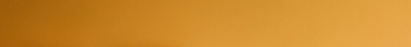 Bannière peinture Delzongle Pau