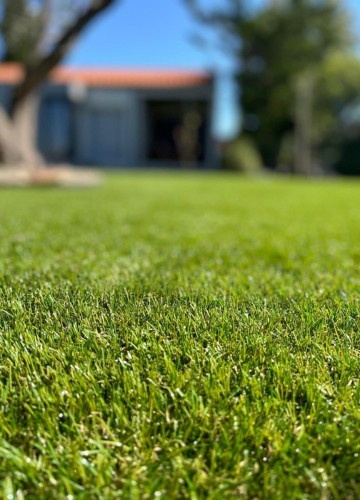 magasin gazon synthétique à Saint Geours de Maremne