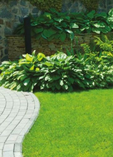 gazon synthétique bogreen 22mm