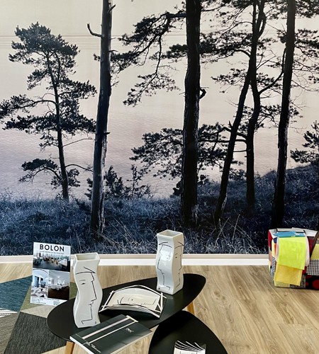 Boutique papier peint Delzongle brive